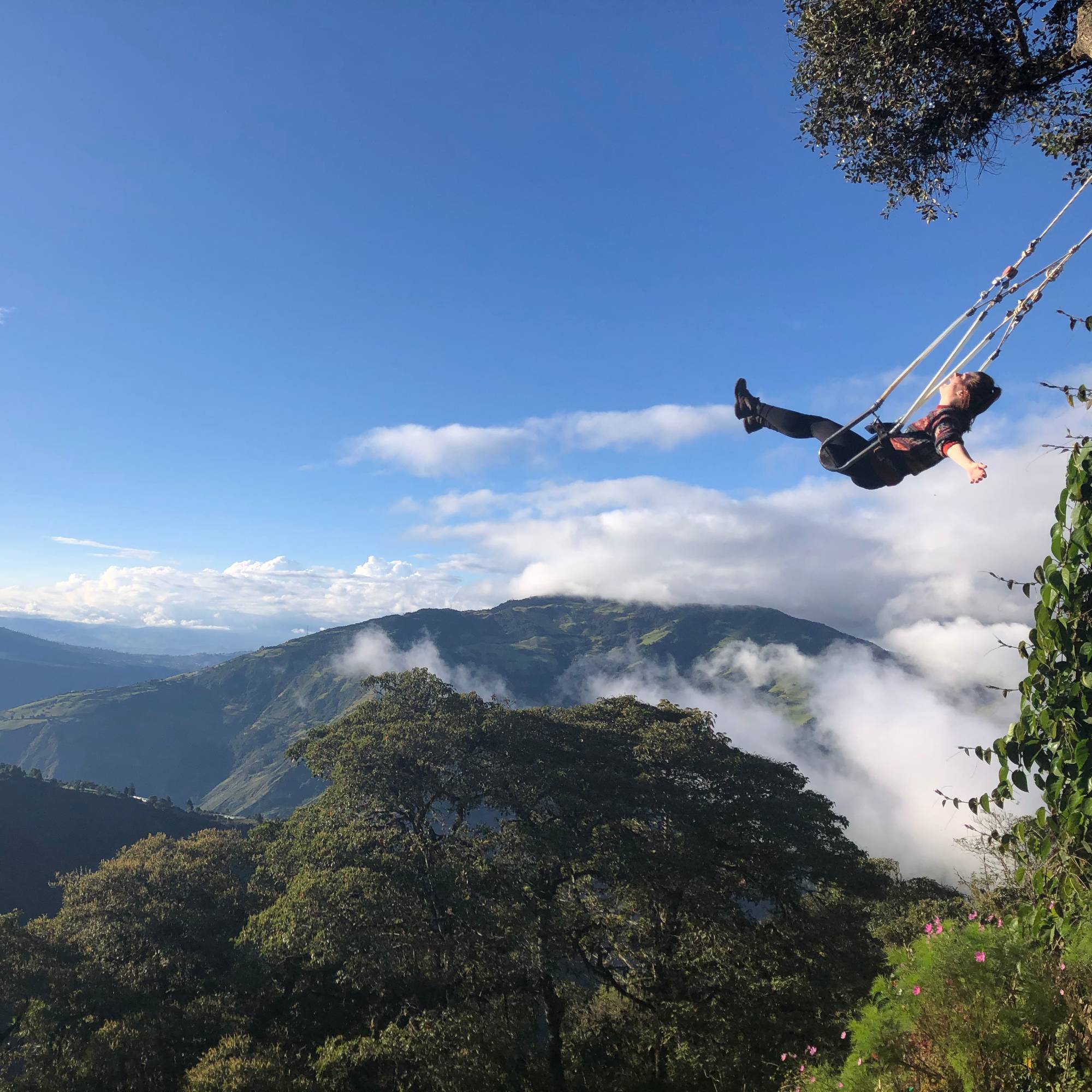 mountainous landscape with person on swing